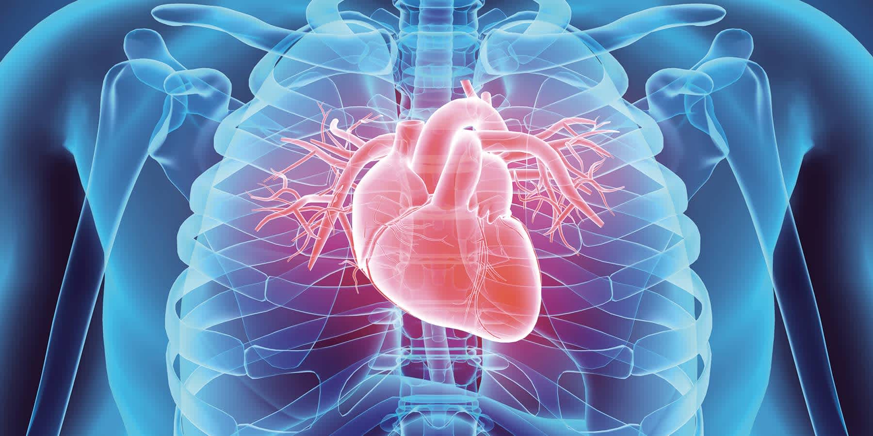 Heart Disease Prediction
